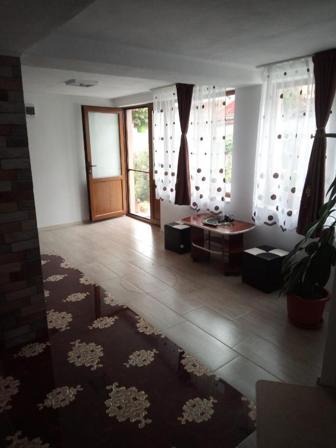Casa Rariana Ξενοδοχείο Călimăneşti Εξωτερικό φωτογραφία