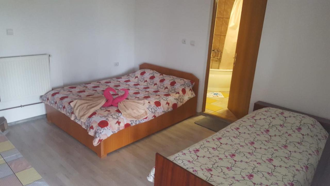 Casa Rariana Ξενοδοχείο Călimăneşti Εξωτερικό φωτογραφία